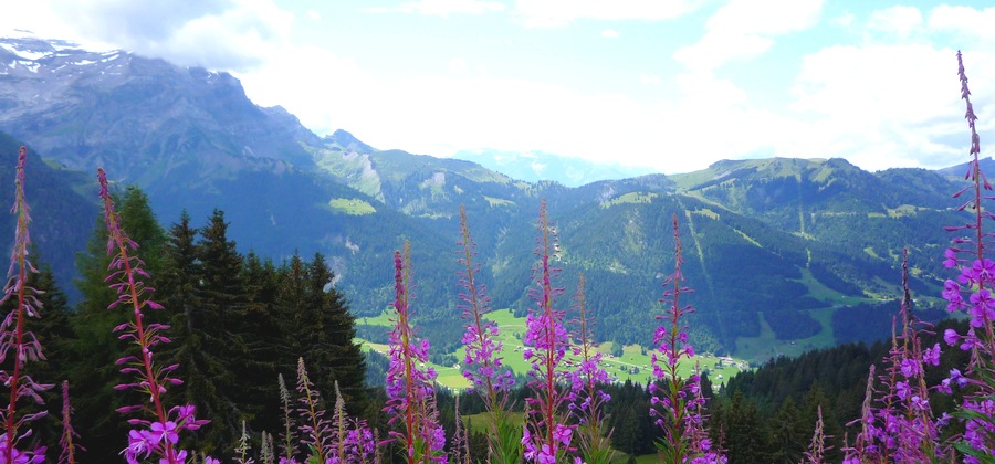Les diablerets, de jour